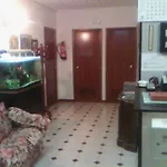 Hostel Central Zaragoza 2* Zaragoza